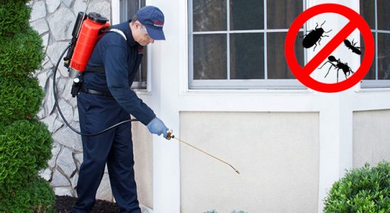 Bornova Gümüşkurt İlaçlama böcek ilaçlama ve haşere kontrolü — ilaclama-tr.com